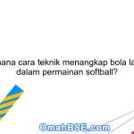 Bagaimana cara teknik menangkap bola lambung dalam permainan softball?