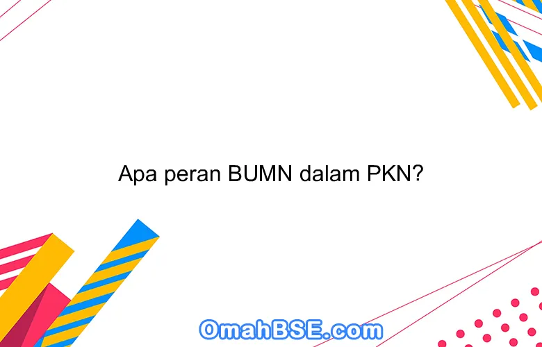Apa peran BUMN dalam PKN?