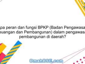 Apa peran dan fungsi BPKP (Badan Pengawasan Keuangan dan Pembangunan) dalam pengawasan pembangunan di daerah?