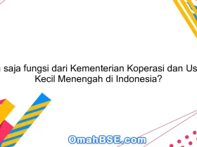 Apa saja fungsi dari Kementerian Koperasi dan Usaha Kecil Menengah di Indonesia?