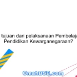 Apa tujuan dari pelaksanaan Pembelajaran Pendidikan Kewarganegaraan?