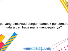 Apa yang dimaksud dengan dampak pencemaran udara dan bagaimana mencegahnya?