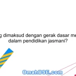 Apa yang dimaksud dengan gerak dasar menyentuh dalam pendidikan jasmani?