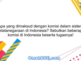 Apa yang dimaksud dengan komisi dalam sistem ketatanegaraan di Indonesia? Sebutkan beberapa komisi di Indonesia beserta tugasnya!