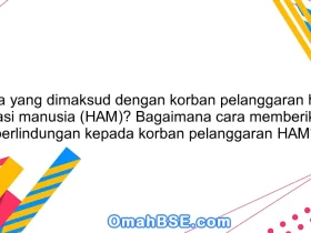 Apa yang dimaksud dengan korban pelanggaran hak asasi manusia (HAM)? Bagaimana cara memberikan perlindungan kepada korban pelanggaran HAM?