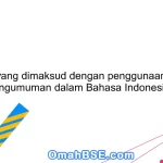 Apa yang dimaksud dengan penggunaan kata pengumuman dalam Bahasa Indonesia?