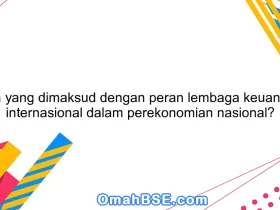 Apa yang dimaksud dengan peran lembaga keuangan internasional dalam perekonomian nasional?