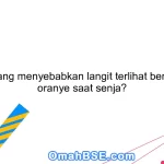 Apa yang menyebabkan langit terlihat berwarna oranye saat senja?