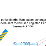 Apa yang perlu diperhatikan dalam penanganan anak yang cedera saat melakukan kegiatan Pendidikan Jasmani di SD?