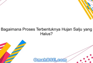 Bagaimana Proses Terbentuknya Hujan Salju yang Halus?