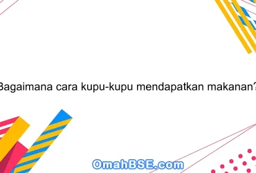 Bagaimana cara kupu-kupu mendapatkan makanan?