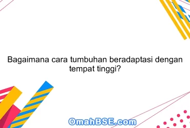 Bagaimana cara tumbuhan beradaptasi dengan tempat tinggi?