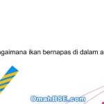 Bagaimana ikan bernapas di dalam air?