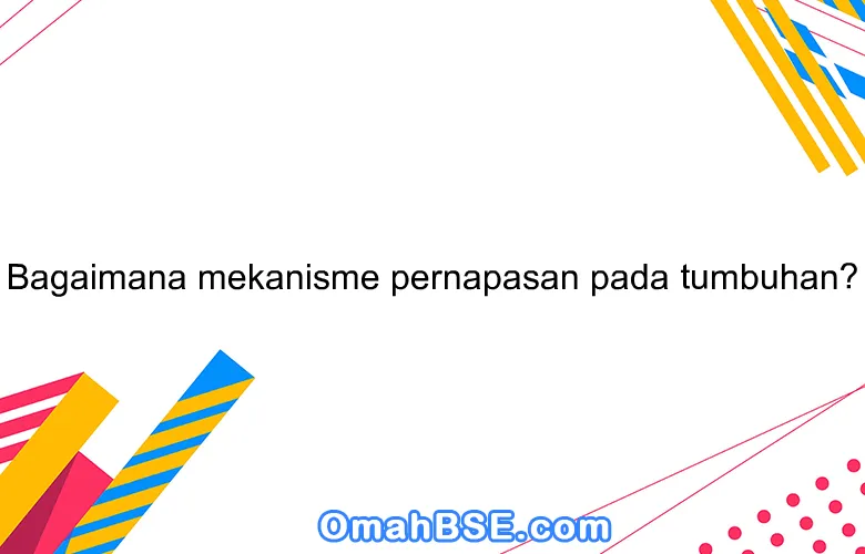Bagaimana mekanisme pernapasan pada tumbuhan?
