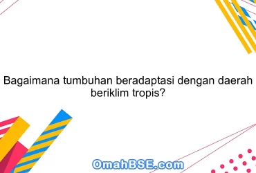 Bagaimana tumbuhan beradaptasi dengan daerah beriklim tropis?