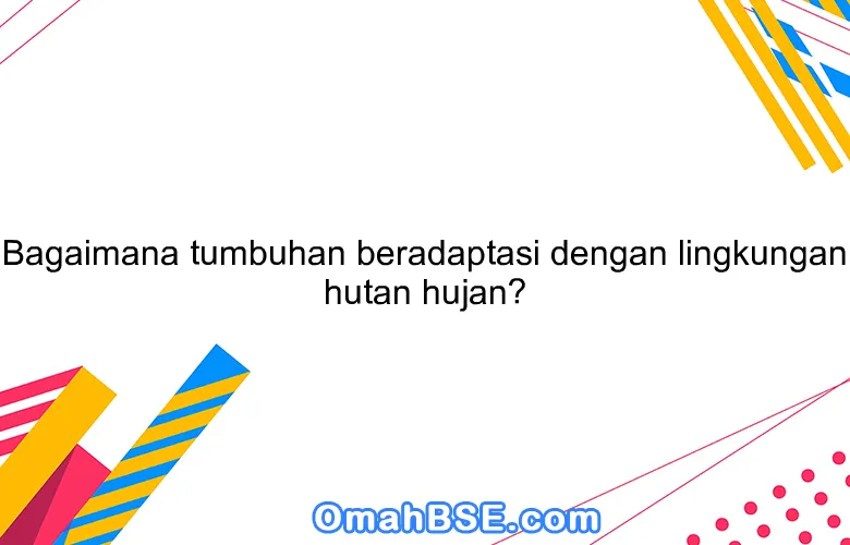 Bagaimana tumbuhan beradaptasi dengan lingkungan hutan hujan?