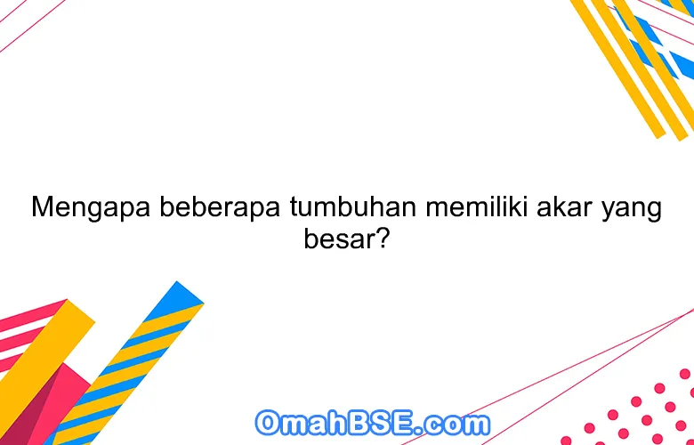 Mengapa beberapa tumbuhan memiliki akar yang besar?