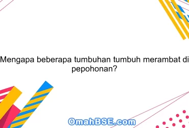 Mengapa beberapa tumbuhan tumbuh merambat di pepohonan?