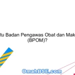 Apa itu Badan Pengawas Obat dan Makanan (BPOM)?