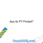 Apa itu PT Pindad?