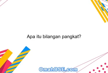 Apa itu bilangan pangkat?