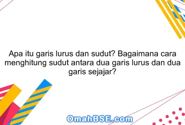 Apa itu garis lurus dan sudut? Bagaimana cara menghitung sudut antara dua garis lurus dan dua garis sejajar?