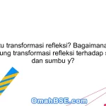 Apa itu transformasi refleksi? Bagaimana cara menghitung transformasi refleksi terhadap sumbu x dan sumbu y?