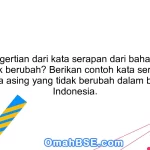 Apa pengertian dari kata serapan dari bahasa asing yang tidak berubah? Berikan contoh kata serapan dari bahasa asing yang tidak berubah dalam bahasa Indonesia.