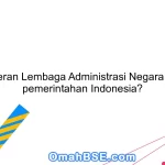 Apa peran Lembaga Administrasi Negara dalam pemerintahan Indonesia?