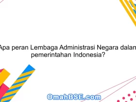 Apa peran Lembaga Administrasi Negara dalam pemerintahan Indonesia?