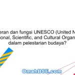 Apa peran dan fungsi UNESCO (United Nations Educational, Scientific, and Cultural Organization) dalam pelestarian budaya?