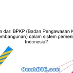 Apa peran dari BPKP (Badan Pengawasan Keuangan dan Pembangunan) dalam sistem pemerintahan Indonesia?