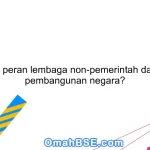 Apa peran lembaga non-pemerintah dalam pembangunan negara?
