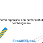 Apa peran organisasi non-pemerintah dalam pembangunan?