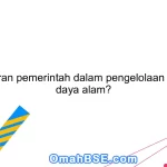 Apa peran pemerintah dalam pengelolaan sumber daya alam?