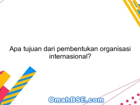 Apa tujuan dari pembentukan organisasi internasional?