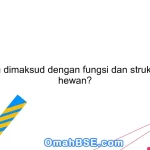 Apa yang dimaksud dengan fungsi dan struktur organ hewan?