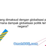Apa yang dimaksud dengan globalisasi politik? Bagaimana dampak globalisasi politik terhadap negara?