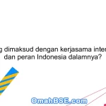 Apa yang dimaksud dengan kerjasama internasional dan peran Indonesia dalamnya?