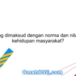 Apa yang dimaksud dengan norma dan nilai dalam kehidupan masyarakat?