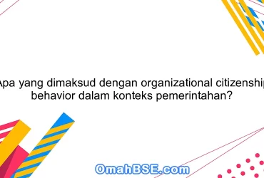 Apa yang dimaksud dengan organizational citizenship behavior dalam konteks pemerintahan?