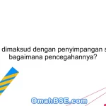 Apa yang dimaksud dengan penyimpangan sosial dan bagaimana pencegahannya?