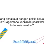 Apa yang dimaksud dengan politik keluarga di Indonesia? Bagaimana kebijakan politik keluarga di Indonesia saat ini?