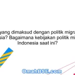 Apa yang dimaksud dengan politik migrasi di Indonesia? Bagaimana kebijakan politik migrasi di Indonesia saat ini?