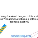 Apa yang dimaksud dengan politik sosial di Indonesia? Bagaimana kebijakan politik sosial di Indonesia saat ini?
