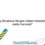 Apa yang dimaksud dengan sistem kekebalan tubuh pada manusia?