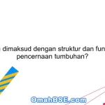 Apa yang dimaksud dengan struktur dan fungsi organ pencernaan tumbuhan?