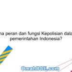 Bagaimana peran dan fungsi Kepolisian dalam sistem pemerintahan Indonesia?