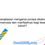 Berikan penjelasan mengenai proses ekskresi dalam tubuh manusia dan manfaatnya bagi kesehatan tubuh?