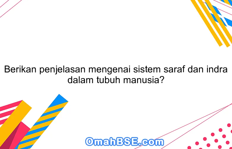 Berikan penjelasan mengenai sistem saraf dan indra dalam tubuh manusia?